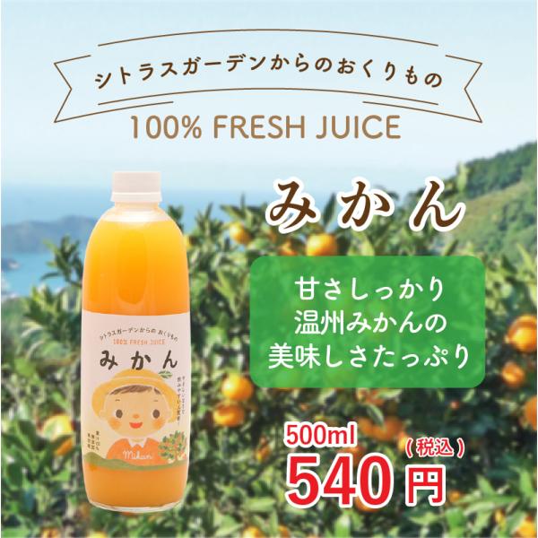 愛媛県産 みかんジュース みかん シトラスガーデンからのおくりもの 500ml 産地直送