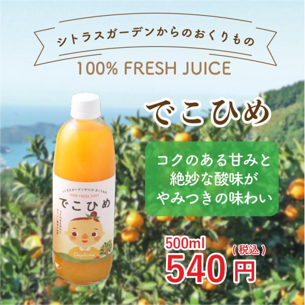 愛媛県産 みかんジュース でこひめ シトラスガーデンからのおくりもの 500ml 産地直送