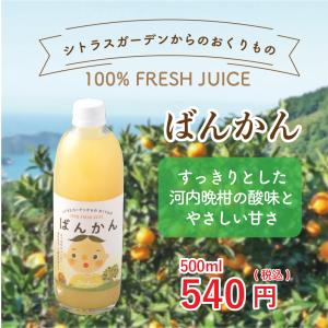 愛媛県産 みかんジュース ぽんかん シトラスガーデンからのおくりもの
