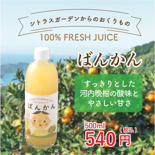 愛媛県産 みかんジュース ばんかん シトラスガーデンからのおくりもの 500ml 産地直送
