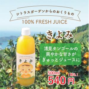 愛媛みかん 西宇和はるか100パーセント ジュース （720ml × 12本） 愛媛県産 みかんジュース はるか 希少柑橘 720ml×1 果汁100