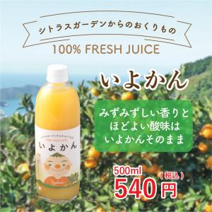 愛媛県産 みかんジュース はるか 希少柑橘 720ml×1 果汁100