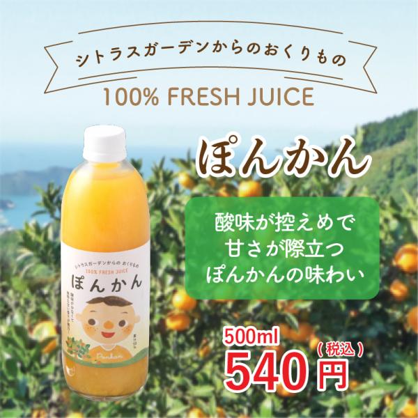 愛媛県産 みかんジュース ぽんかん シトラスガーデンからのおくりもの 500ml 産地直送