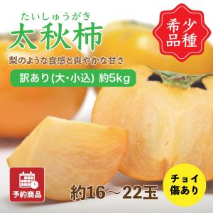 太秋柿 たいしゅうがき 愛媛県産 柿 かき 家庭用 大・小込み 5kg 約16~22玉 産地直送 送料無料 予約商品