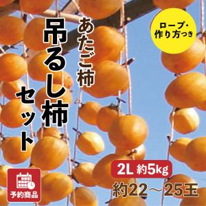 あたご柿 吊るし柿セット 愛媛県産 干し柿 2L 約5kg 約22~25玉 産地直送 送料無料