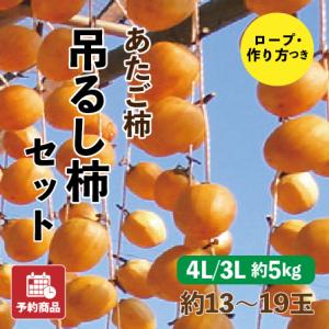 あたご柿 吊るし柿セット 愛媛県産 干し柿 4L 3L 約5kg 約13~19玉 産地直送 送料無料 予約商品