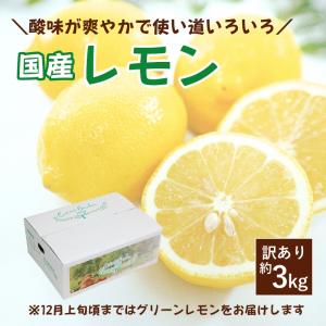 農薬不使用 徳さんの レモン 広島県産 10kg 国産レモン 瀬戸内レモン