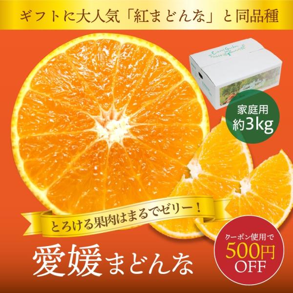 みかん 愛媛まどんな まどんな 家庭用 約3kg 紅まどんな 紅マドンナ 愛媛産 送料無料 産地直送...
