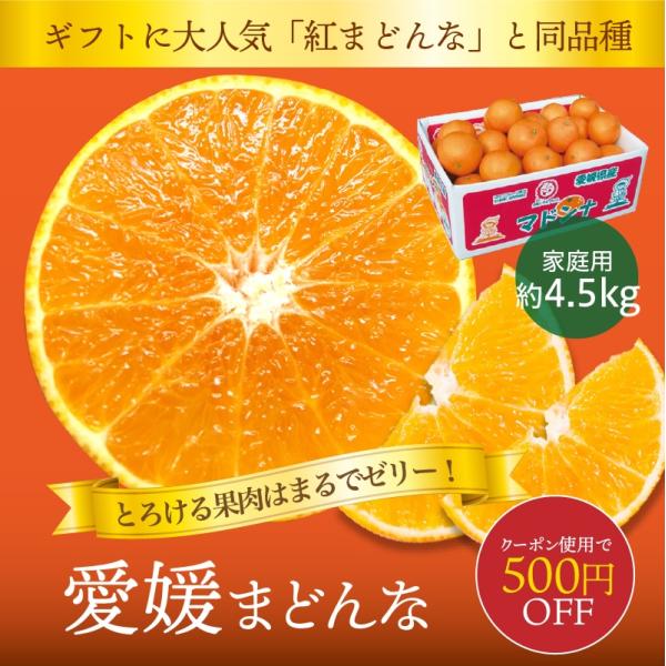 みかん 愛媛まどんな まどんな 家庭用 約4.5kg 紅まどんな 紅マドンナ 愛媛産 送料無料 産地...