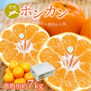 お歳暮に 日南海岸 ぽんかん5kg 36玉 Mサイズ 宮崎県日南市より12月