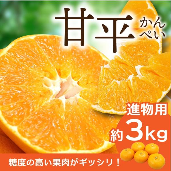 みかん 甘平 かんぺい 進物用・化粧箱 約3kg 愛媛産 送料無料 産地直送 柑橘 フルーツ 果物