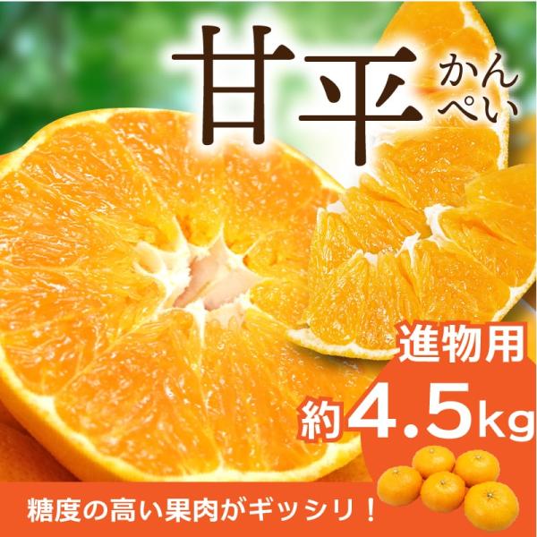 みかん 甘平 かんぺい 進物用 約4.5kg 愛媛産 送料無料 産地直送 柑橘 フルーツ 果物