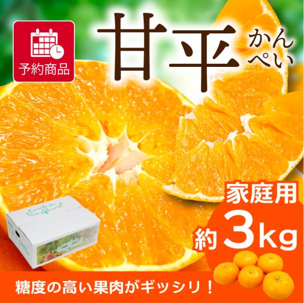 みかん 甘平 かんぺい 家庭用 約3kg 愛媛産 送料無料 産地直送 柑橘 フルーツ 果物 予約商品