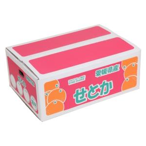 みかん せとか 家庭用 約4.5kg 愛媛産 ...の詳細画像4