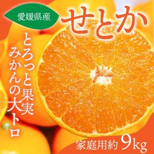 みかん せとか 家庭用 約9kg 愛媛産 送料無料 産地直送 柑橘 フルーツ 果物