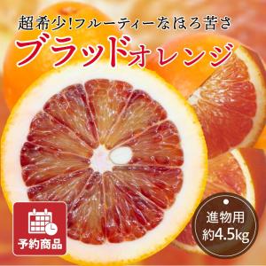 無農薬なつみかん 静岡清水昔の夏みかん【川野夏橙】10キロ 夏ミカン