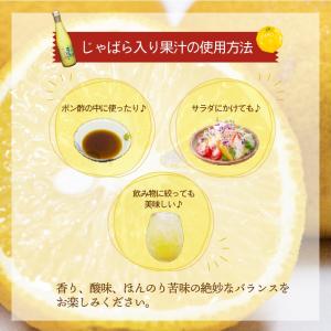 愛媛県産 じゃばら入り果汁 100%ストレート...の詳細画像2