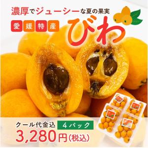 びわ 4Pセット 1パック6~11個入 チルド代金込 愛媛産 送料無料 産地直送 柑橘 フルーツ 果...