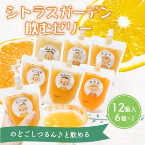 ギフト ゼリー みかん 詰め合わせ シトラスガーデン飲むゼリー  12個入