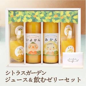 株)修斗 飲むみかんゼリー10本セット 飲むゼリー ミカンゼリー 愛媛