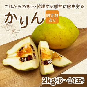 かりん 2kg 愛媛産 送料込 産地直送 柑橘 フルーツ 果物 予約商品