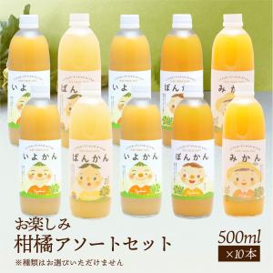 愛媛県産柑橘ジュース 飲み比べギフトセット 12本 送料別途 愛媛