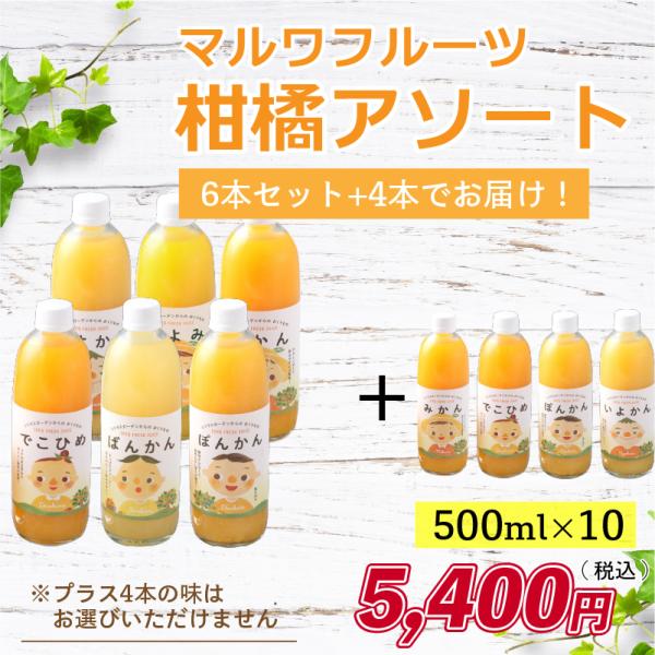 愛媛県産 みかんジュースセット マルワフルーツ柑橘アソート10本セット 送料無料 産地直送