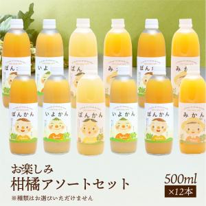 紅まどんな・甘平 ジュース セット 720ml×2 愛媛県産 送料無料 みかん