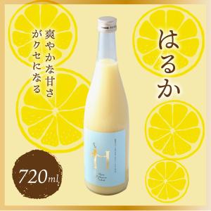 愛媛県産 みかんジュース はるか 希少柑橘 720ml×１ 果汁100% ストレートジュース｜maruwa-fruit