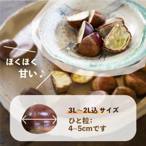 生栗 国産 大粒 愛媛県産 栗 皮付き 3L~...の詳細画像4