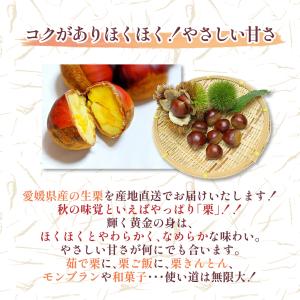 生栗 国産 大粒 愛媛県産 栗 皮付き 3L~...の詳細画像1