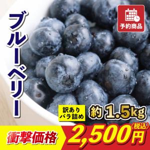 ブルーベリー 訳あり バラ詰め 約1.5kg 愛媛産 送料無料 産地直送 フルーツ 果物 チルド運賃込み 予約商品｜マルワフルーツ園芸