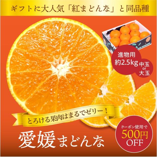 みかん 愛媛まどんな 進物用 ギフト箱入 約2.5kg 約7〜15玉 大玉又は中玉 紅まどんな 紅マ...