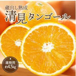 みかん 蔵出し 熟成 清見 きよみ 進物用 約4.5kg 愛媛産 送料無料 産地直送 柑橘 フルーツ 果物 贈答品 ギフト