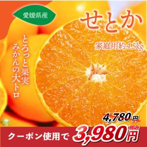 期間限定大特価 みかん せとか 家庭用 約4.5kg 愛媛産 送料無料 産地直送 柑橘 フルーツ 果...