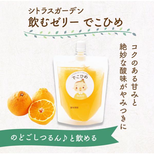 シトラスガーデン 飲むゼリー でこひめ 150g ゼリー ギフト