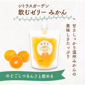 みかんもち みきゃんパッケージ 130g 愛媛みかんをたっぷり練り込み