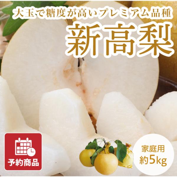 梨 新高梨 なし ナシ にいたかなし 約5kg 約7~14玉 愛媛県産 送料無料 産地直送 フルーツ...