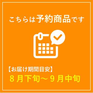 ぶどう 地元特産ぶどう ニューベリーA 約2k...の詳細画像2