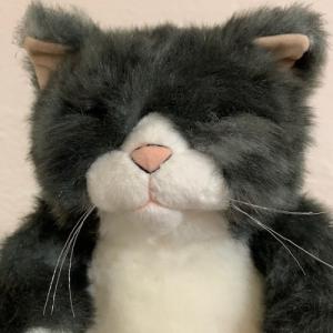 カドリー ねこ ぬいぐるみ わさ美【Cuddly／wasabi／ヌイグルミ／猫