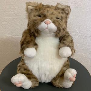 カドリー ねこ ぬいぐるみ わさ美【Cuddly／wasabi／ヌイグルミ／猫
