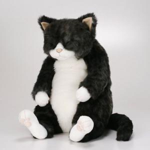 Cuddly(カドリー)小春(Koharu)☆この商品は日本国内販売の正規品