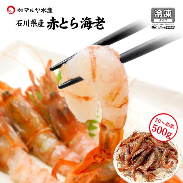 赤がすえび 赤とらえび 500g 20〜40匹 お刺身用 石川県産 ガスエビ えび 海老 贈答 ギフ...