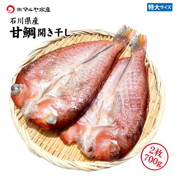 甘鯛 ぐじ 干物 一夜干し (石川県産) 特大サイズ 2枚 約700g 産地直送 お取寄せ 送料無料