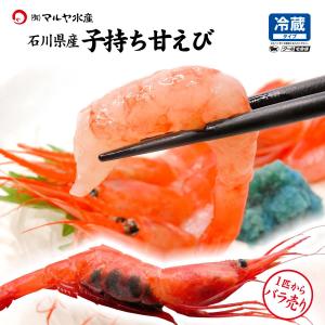 子持ち甘えび×1匹 (石川県産/お刺身用/未冷凍) 底曳網船の船主から直送