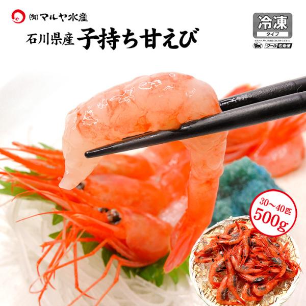甘えび 甘海老 子持ち 500g 30〜40匹 お刺身用 石川県産 えび 海老 贈答 ギフト 産地直...