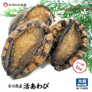 活あわび 天然 石川県産 2〜5枚 1.0kg 詰め合せ 産地直送 お取寄せ 送料無料｜maruya