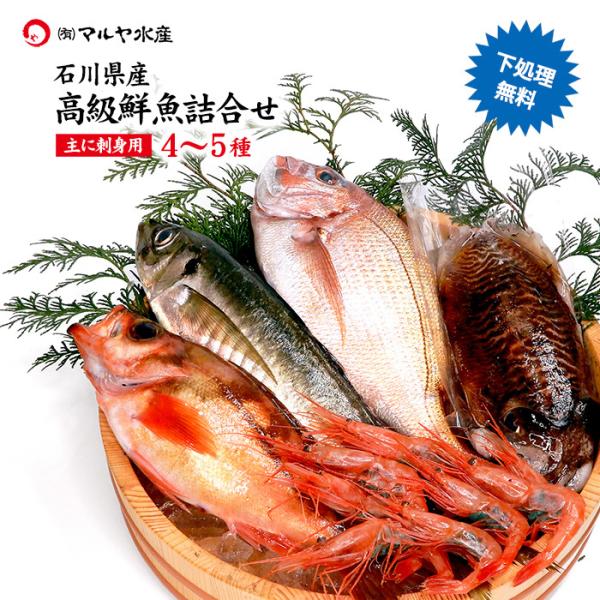 石川県 旬の魚 お刺身用 鮮魚詰合せ お魚BOX 4〜5種 ( 下処理無料 冷蔵便 ) ※お届け日指...