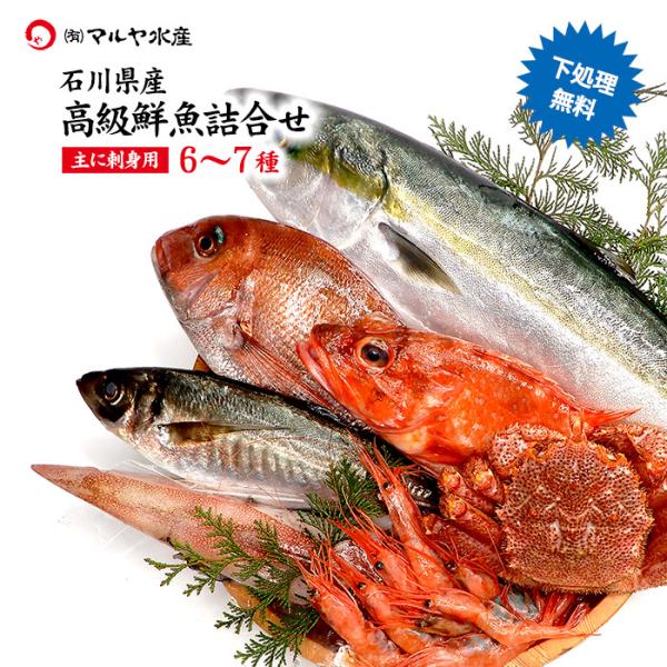 石川県 旬の魚 お刺身用 鮮魚詰合せ お魚BOX 6〜7種 ( 下処理無料 冷蔵便 ) ※お届け日指...