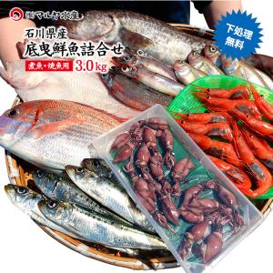 旬の獲れたて底曳鮮魚 3.0kg詰め合わせ (石川県産／主に焼魚＆煮魚用・下処理済み) 送料無料 ※お届け日の指定不可